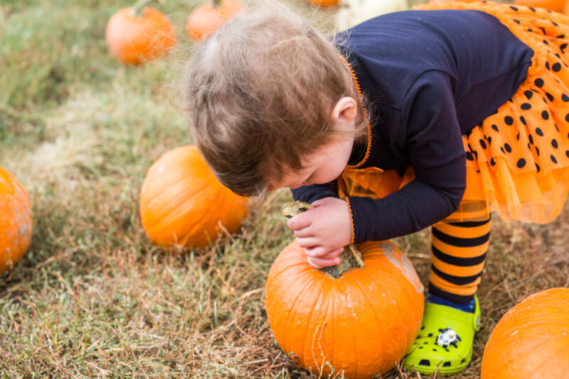 5 Tips for Teaching Your Kids About The Origin Of Halloween